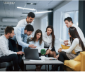 Loans Insights