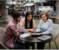 Loans Insights